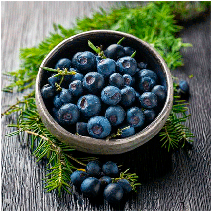 Juniper Natural flavour Oilsoluble